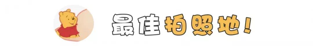 史上最值得收藏的迪士尼攻略!看完省下2小时 史上最值得收藏的迪士尼攻略!看完省下2小时