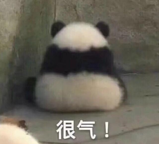 肉眼可见的疼!上海迪士尼“达菲”被游客打头,此类事件为何屡次发生?