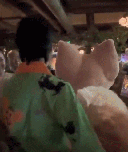 肉眼可见的疼！上海迪士尼“达菲”被游客打头，此类事件为何屡次发生？