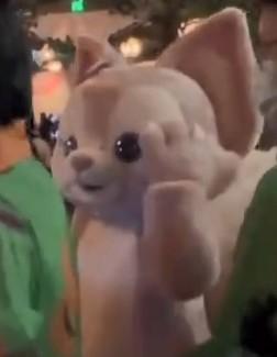 肉眼可见的疼！上海迪士尼“达菲”被游客打头，此类事件为何屡次发生？