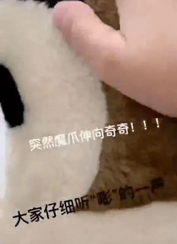 肉眼可见的疼！上海迪士尼“达菲”被游客打头，此类事件为何屡次发生？