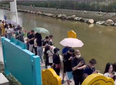 四万人排队喝一杯茶颜悦色,有何隐情? 四万人排队喝一杯茶颜悦色,有何隐情?