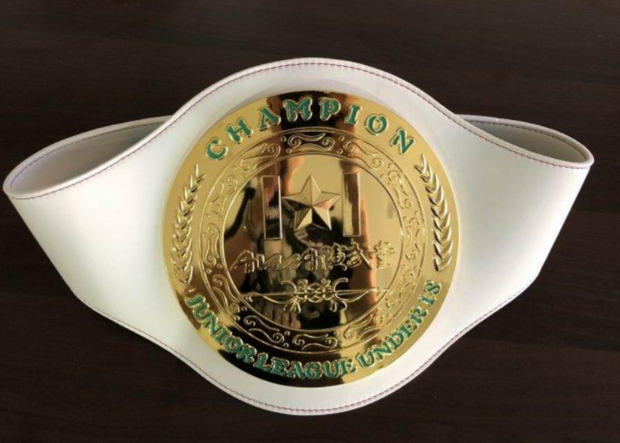 金腰带是纯金的吗? 金腰带是纯金的吗?