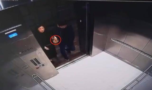 细思极恐!刘强东案视频曝光,几乎坐实了刘强东被设局 细思极恐!刘强东案视频曝光,几乎坐实了刘强东被设局