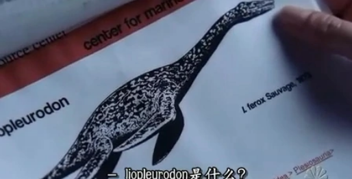 《水下之秘》第二季出了吗? 《水下之秘》第二季出了吗?