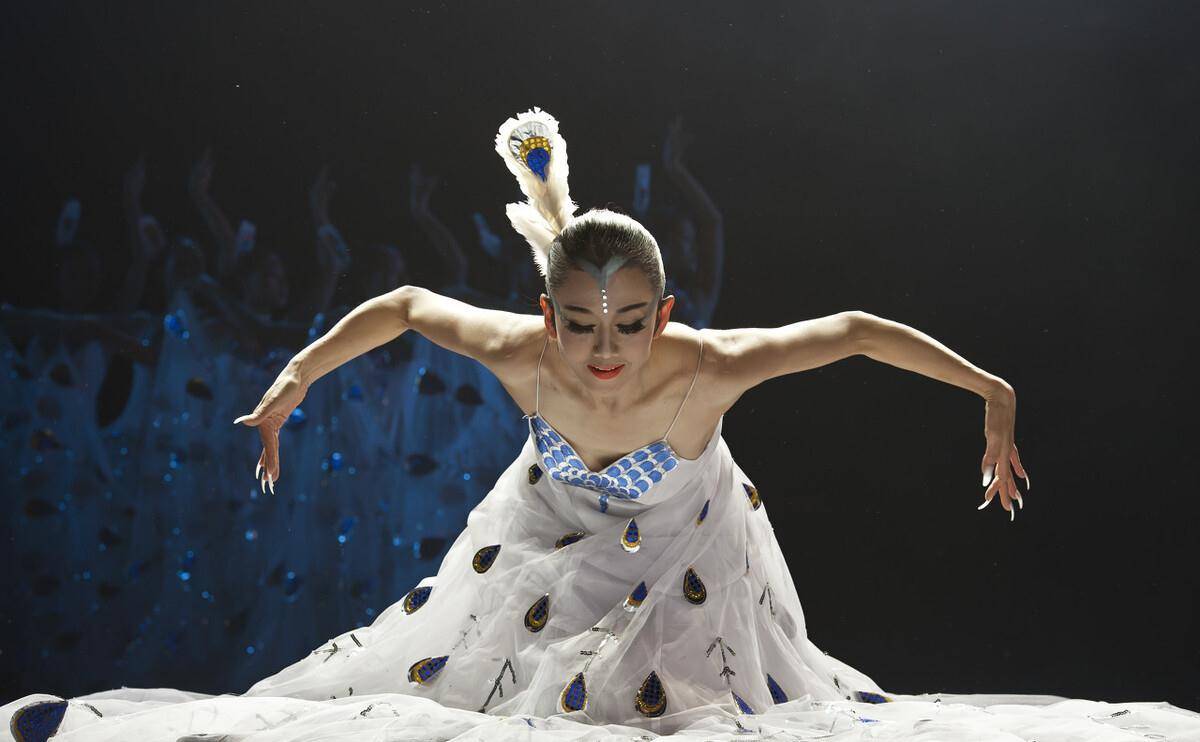 为艺术献身，如今61岁的杨丽萍孑身一世是得还是失？