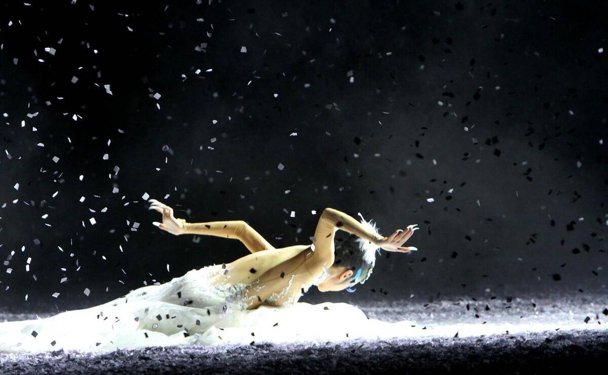 为艺术献身，如今61岁的杨丽萍孑身一世是得还是失？