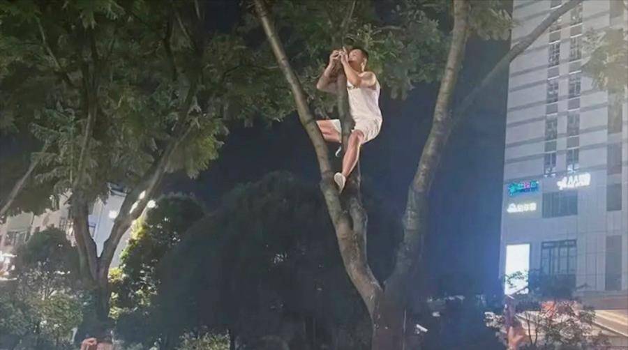 许巍昆明迷你演唱会,歌迷跪他也跟着跪,破防了 许巍昆明迷你演唱会,歌迷跪他也跟着跪,破防了