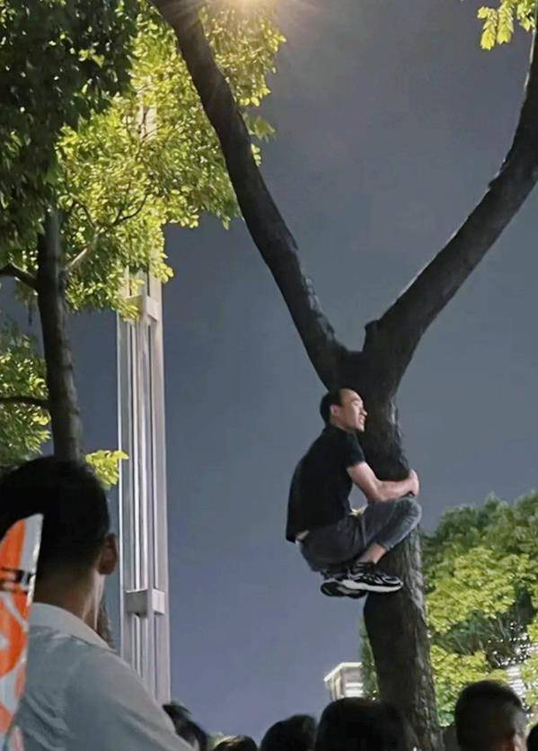 许巍昆明迷你演唱会,歌迷跪他也跟着跪,破防了 许巍昆明迷你演唱会,歌迷跪他也跟着跪,破防了