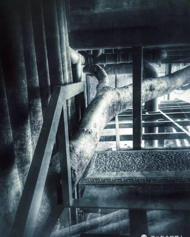 59岁杨丽萍看起来年轻身材好,但她为舞蹈献身却遭网友讥讽 59岁杨丽萍看起来年轻身材好,但她为舞蹈献身却遭网友讥讽