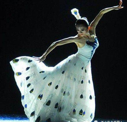 59岁杨丽萍看起来年轻身材好,但她为舞蹈献身却遭网友讥讽 59岁杨丽萍看起来年轻身材好,但她为舞蹈献身却遭网友讥讽