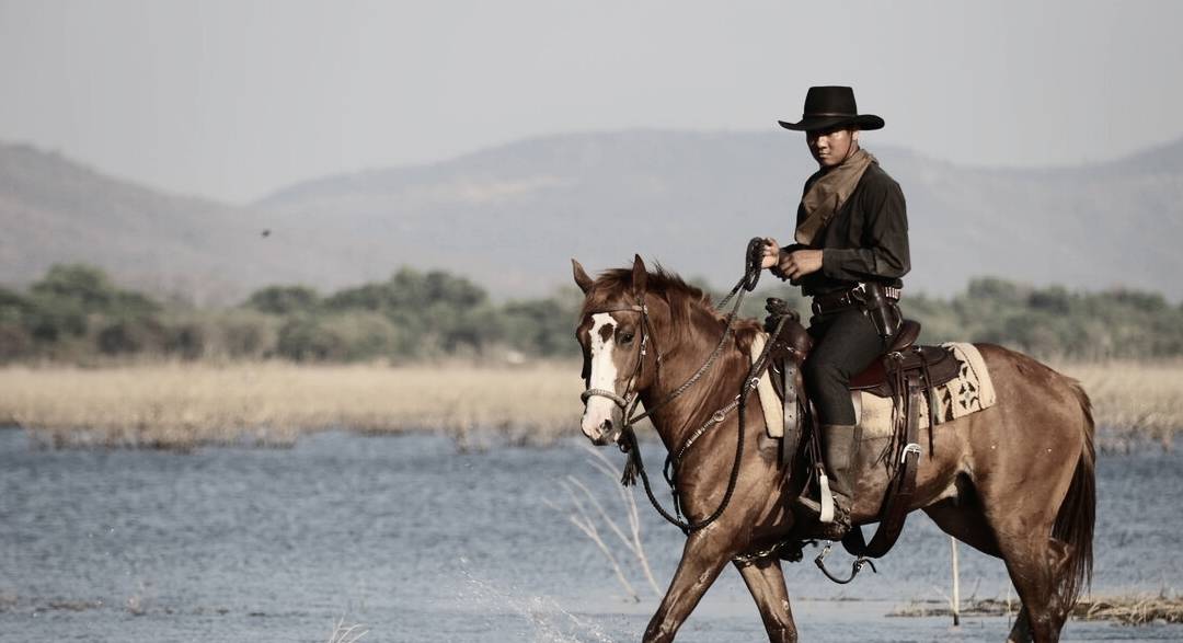 因为学狼叫黑犬被驱逐,主人夜晚骑马被狼群围住,蒙冤黑犬救了他 因为学狼叫黑犬被驱逐,主人夜晚骑马被狼群围住,蒙冤黑犬救了他