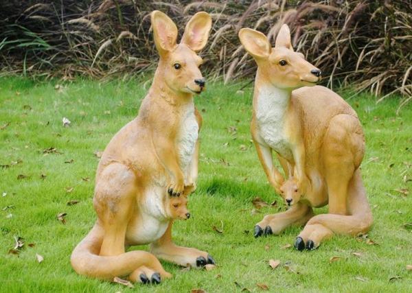 袋鼠的外貌是什么样子的? 袋鼠的外貌是什么样子的?