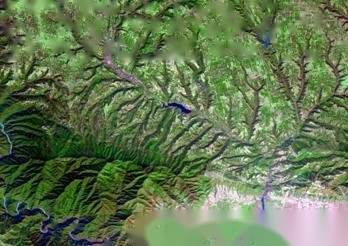 现在监管森林资源真的使用卫星遥感技术了?有什么特点? 现在监管森林资源真的使用卫星遥感技术了?有什么特点?