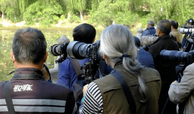 单反冷场?手机摄影有何魅力让老法师扔下长枪短炮