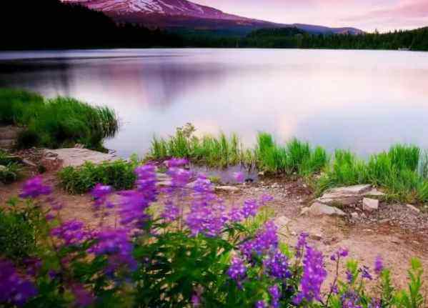 2022北京疫情最新消息2022北京朝阳区是中风险还是低风险 2022北京疫情最新消息2022北京朝阳区是中风险还是低风险