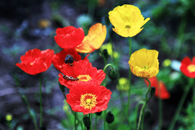 八月是财富之月,事业之月,财富之月的3生肖