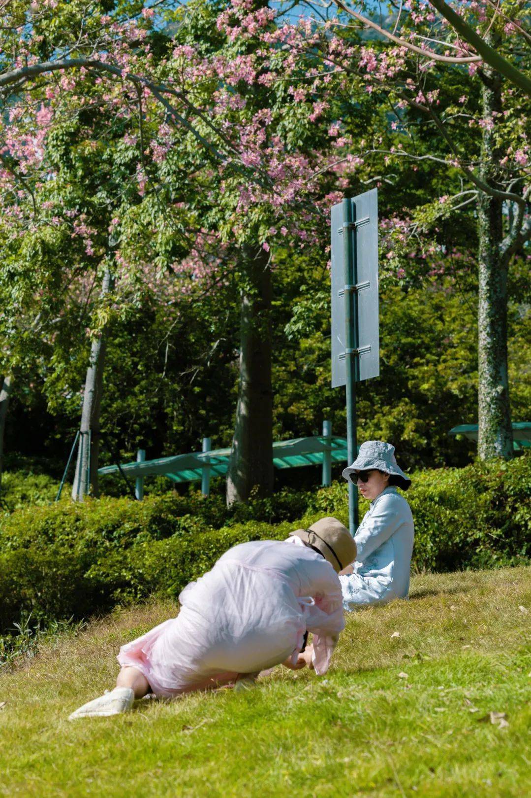 乌云乌云快走开,景区里的有爱时刻分你一半 乌云乌云快走开,景区里的有爱时刻分你一半