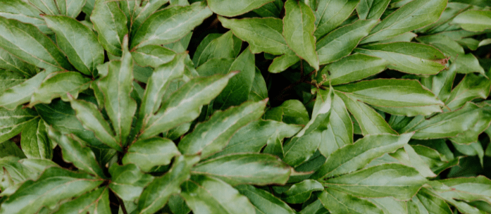 端午 | 独乐乐不如“粽”乐乐 端午 | 独乐乐不如“粽”乐乐