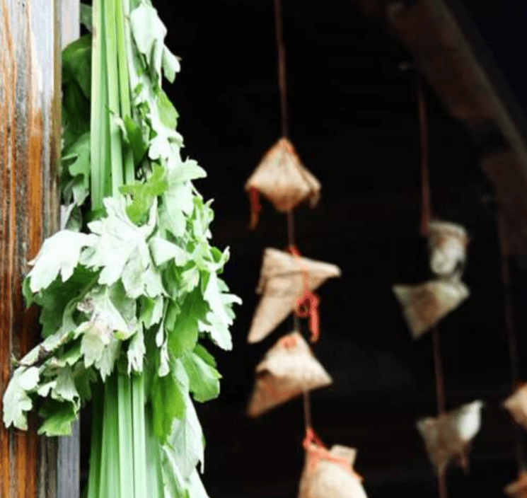 端午 | 独乐乐不如“粽”乐乐 端午 | 独乐乐不如“粽”乐乐