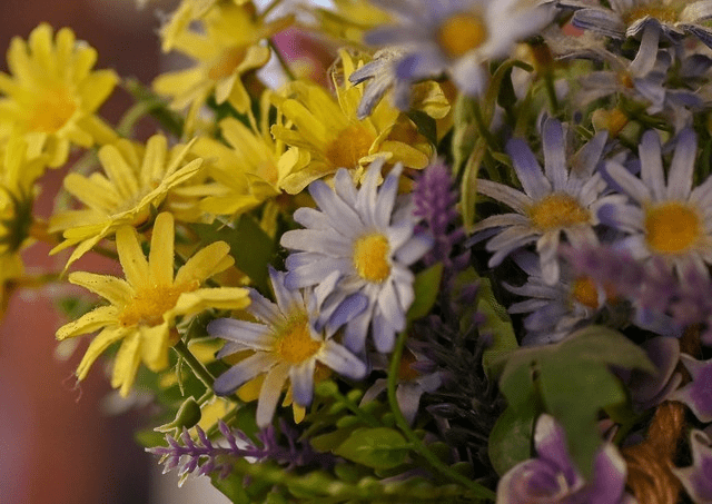 万元价的全幅微单,尼康Z6 ii,老法师觉得如何? 万元价的全幅微单,尼康Z6 ii,老法师觉得如何?