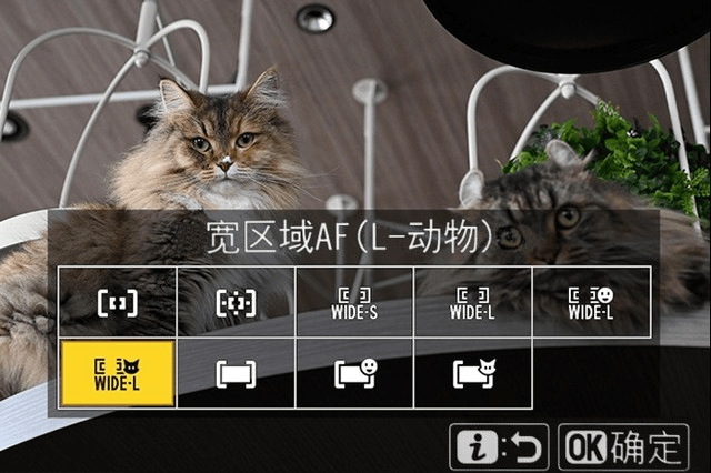 万元价的全幅微单,尼康Z6 ii,老法师觉得如何? 万元价的全幅微单,尼康Z6 ii,老法师觉得如何?