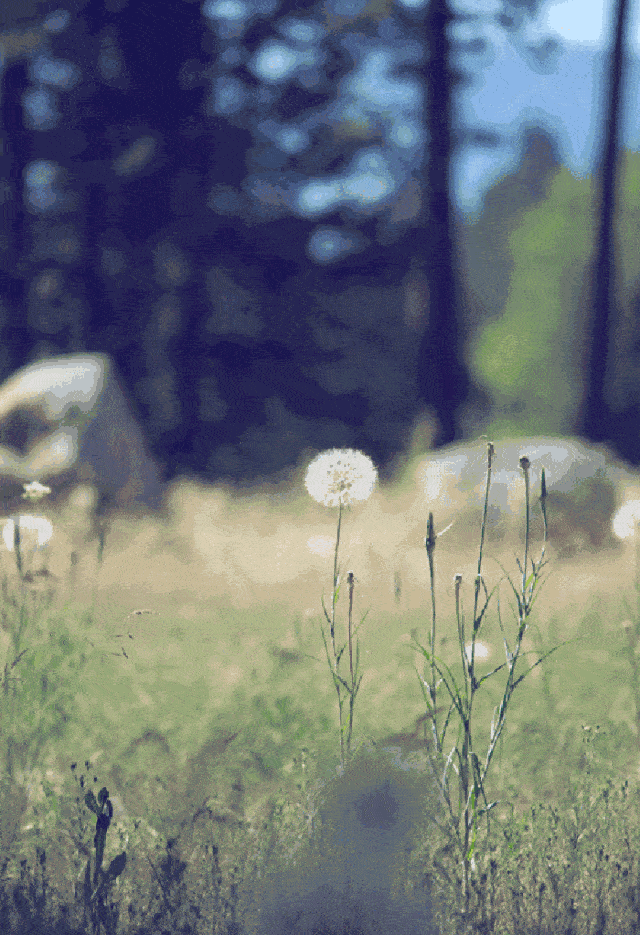 再见7月,你好8月! 再见7月,你好8月!