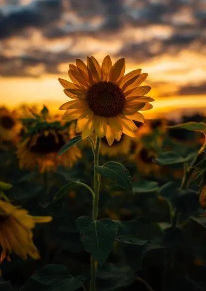 再见7月,你好8月! 再见7月,你好8月!