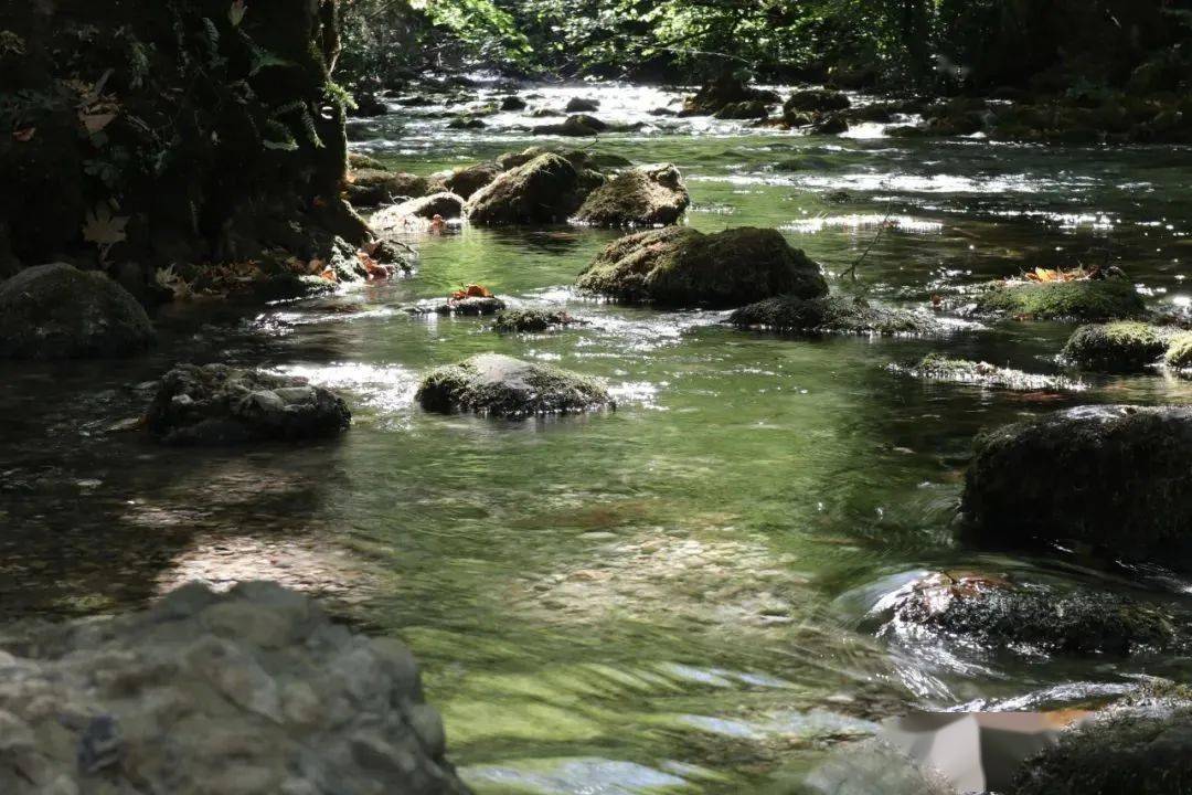 季羡林:我是怎样学习吐火罗文的 季羡林:我是怎样学习吐火罗文的