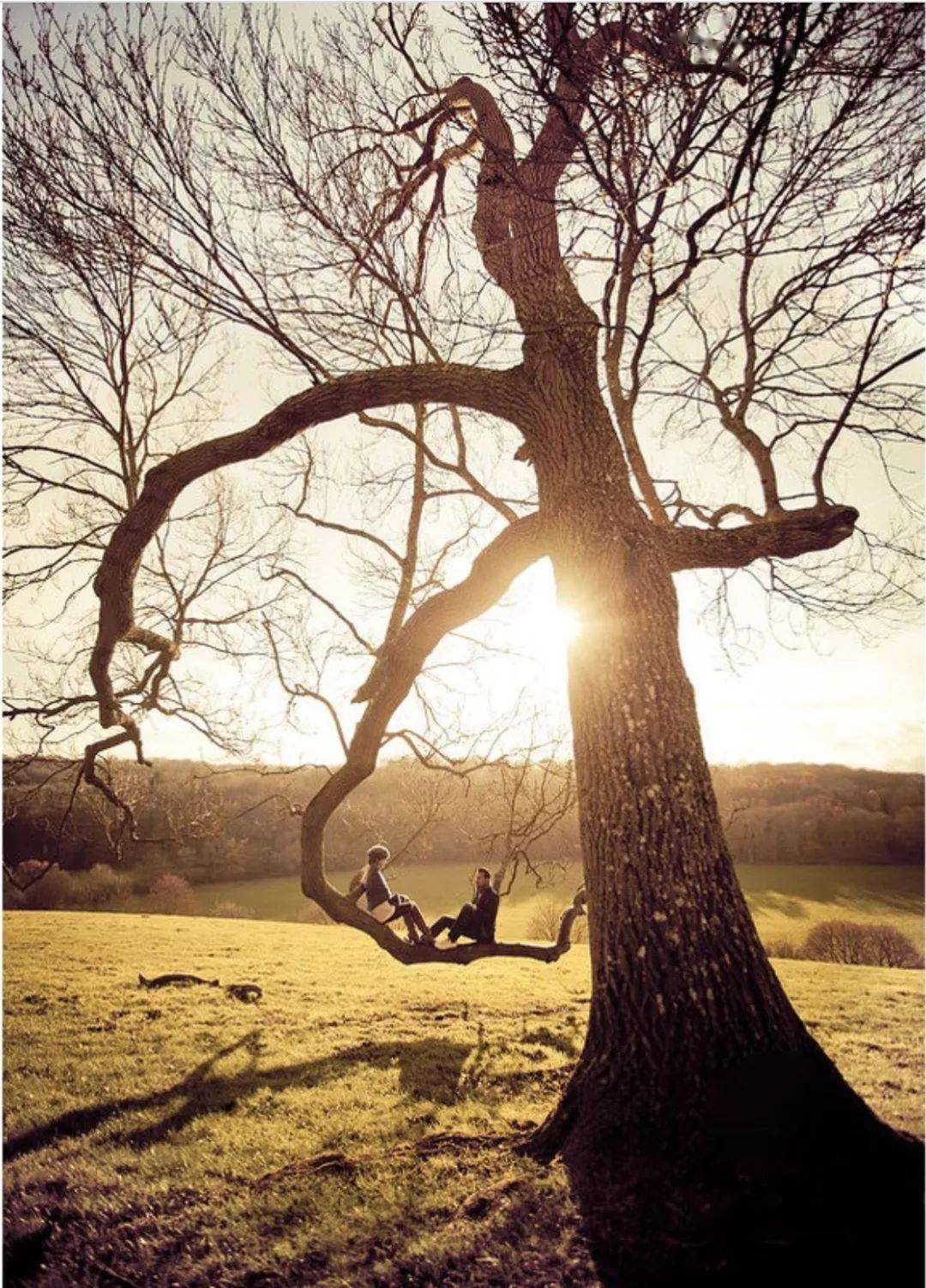 学会用广角拍人像,超级美!!! 学会用广角拍人像,超级美!!!