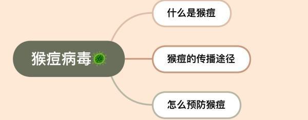 什么是猴痘? 什么是猴痘?