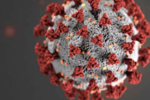 巴西疫情太惨,首都进入灾难状态是真的吗? 巴西疫情太惨,首都进入灾难状态是真的吗?