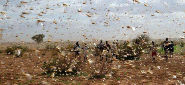 巴西疫情太惨,首都进入灾难状态是真的吗? 巴西疫情太惨,首都进入灾难状态是真的吗?