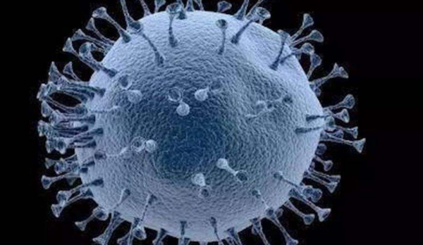 巴西疫情太惨,首都进入灾难状态是真的吗? 巴西疫情太惨,首都进入灾难状态是真的吗?