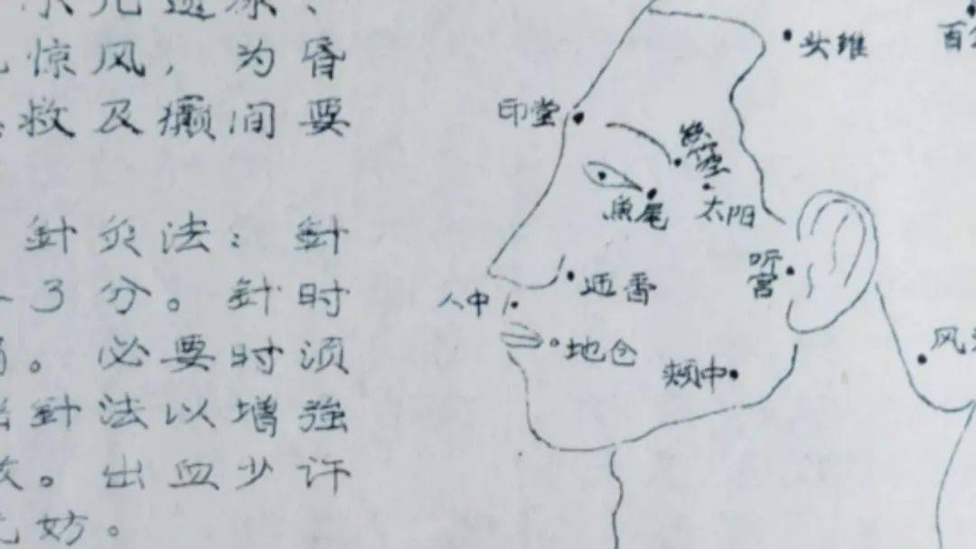 徐立孙：不会针灸的古琴大师不是好老师