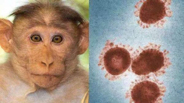 猴痘病毒的传播方式有哪些？