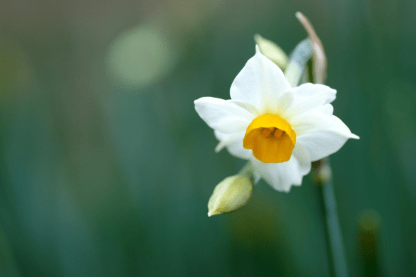 7月10日~10月10日,事业顺利、运势良好的3大生肖