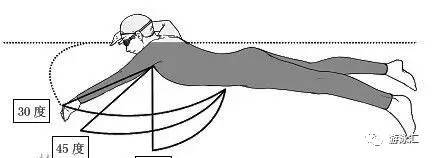 自由泳的划水，认识前交叉，中交叉和后交叉！