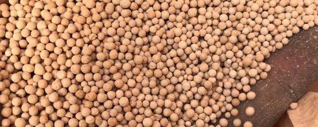 分子筛效应名词解释 分子筛效应名词解释