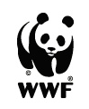 WWF是摔跤，还是WWE?