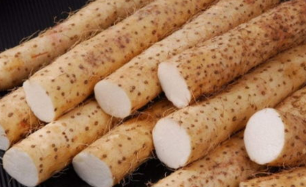 山药和铁棍山药的区别是什么? 山药和铁棍山药的区别是什么?