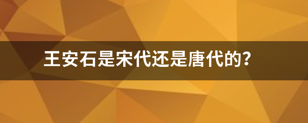 王安石是宋代还是唐代的? 王安石是宋代还是唐代的?