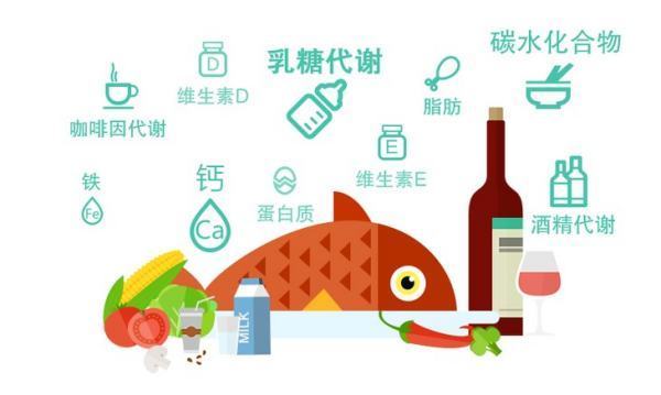 学习营养与膳食指导的意义 学习营养与膳食指导的意义