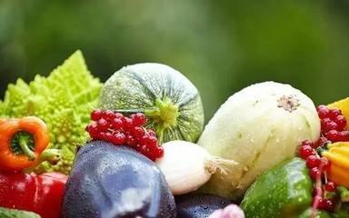 什么是农业生产经营者? 什么是农业生产经营者?