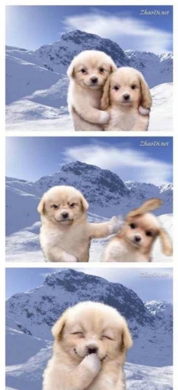 非化石能源包括哪些股票