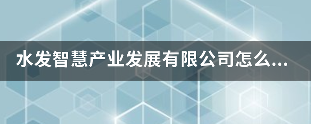 水发智慧产业发展有限公司怎么样?行谈扩始白激负维组 水发智慧产业发展有限公司怎么样?行谈扩始白激负维组