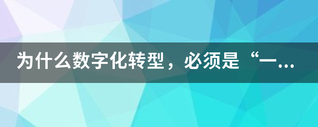 为什么数字化转型,必须是“一把手”工程? 为什么数字化转型,必须是“一把手”工程?