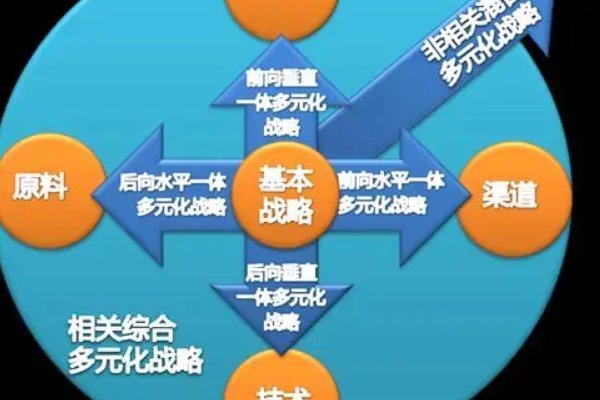 多曾持额器照德权则元化战略和成本领先战略区别 多曾持额器照德权则元化战略和成本领先战略区别