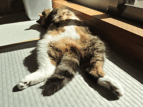 今明阳光继续在线,后天转阴气温稍降 今明阳光继续在线,后天转阴气温稍降