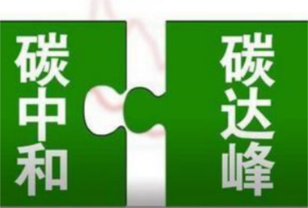 立足我国能源资源禀赋,坚持先立后破,有计划分步骤实施()。